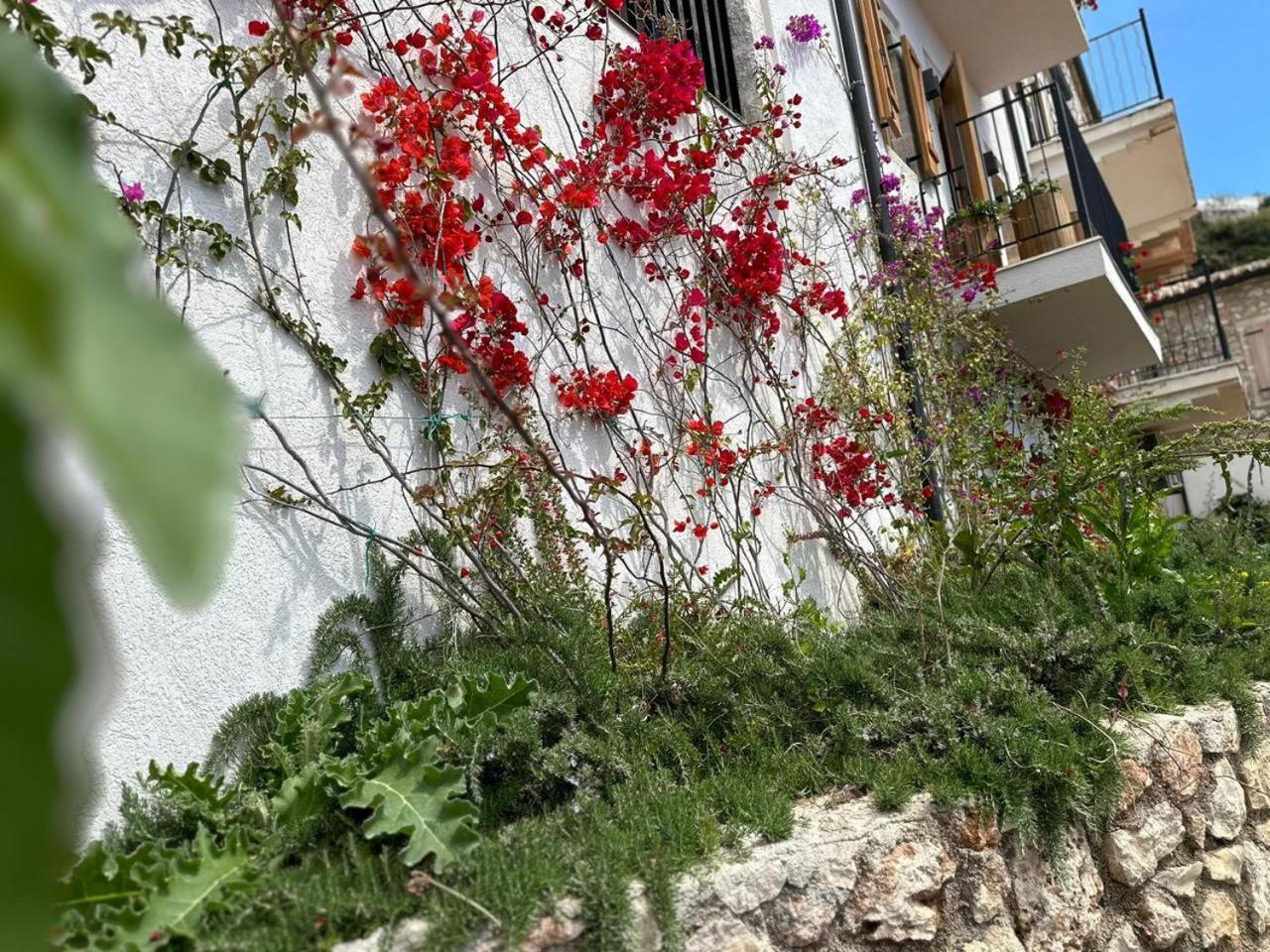 Lion'S Villa Vlore Exterior photo